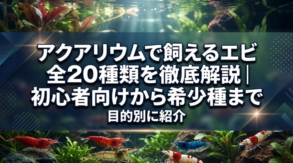 アクアリウムで飼えるエビ全20種類を徹底解説｜初心者向けから希少種まで目的別に紹介