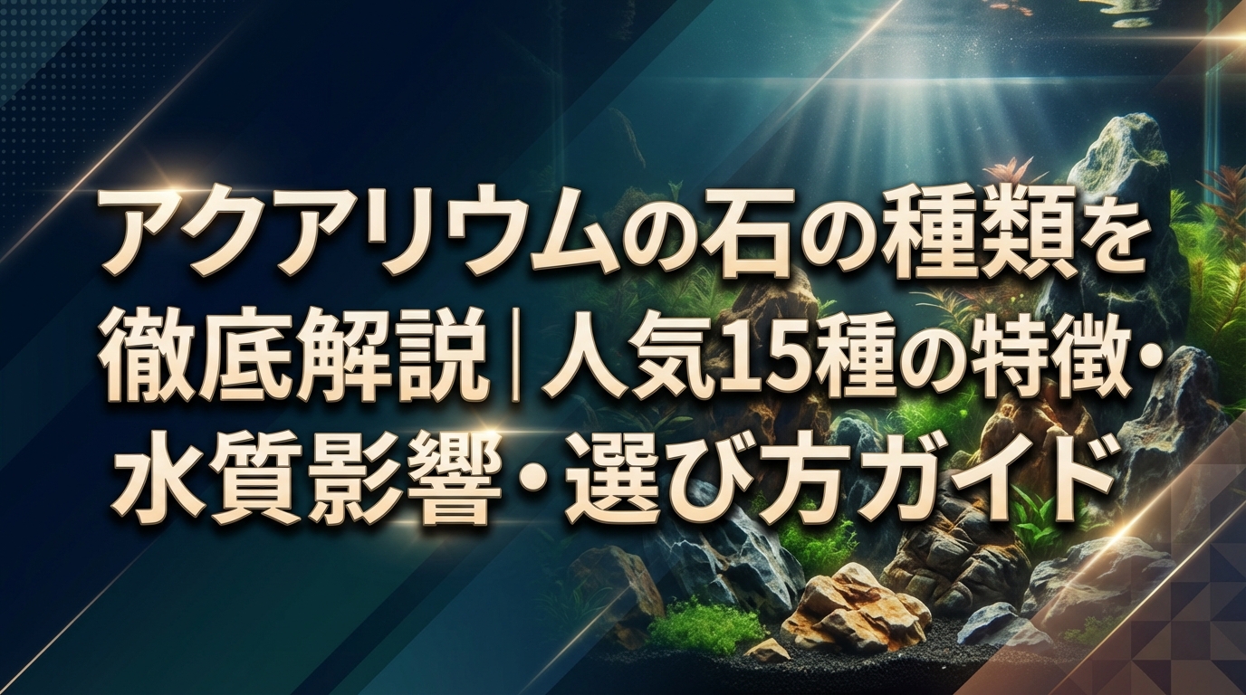 アクアリウムの石の種類を徹底解説|人気15種の特徴・水質影響・選び方ガイド