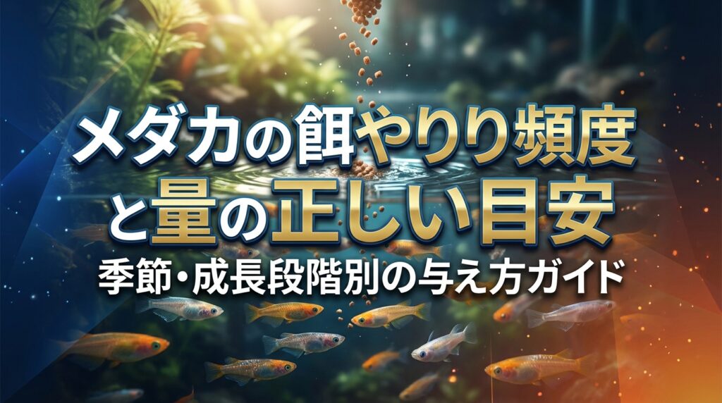 メダカの餌やり頻度と量の正しい目安｜季節・成長段階別の与え方ガイド