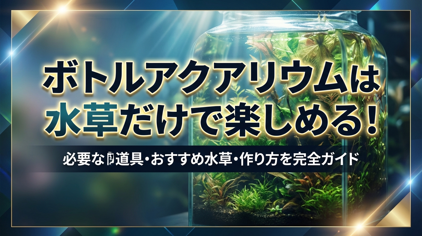 ボトルアクアリウムは水草だけで楽しめる!必要な道具・おすすめ水草・作り方を完全ガイド