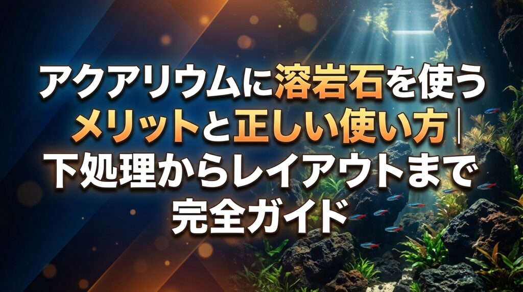 アクアリウムに溶岩石を使うメリットと正しい使い方｜下処理からレイアウトまで完全ガイド