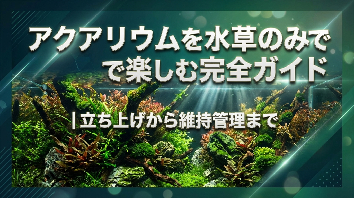 アクアリウムを水草のみで楽しむ完全ガイド|立ち上げから維持管理まで
