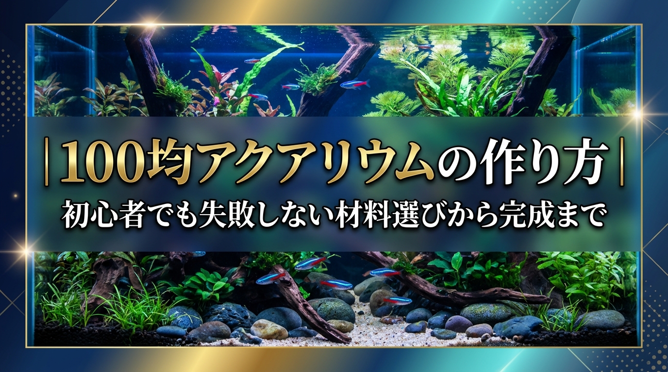 100均アクアリウムの作り方|初心者でも失敗しない材料選びから完成まで