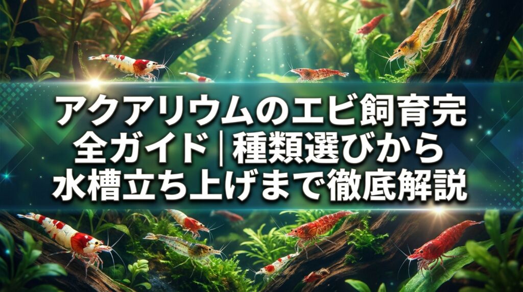 アクアリウムのエビ飼育完全ガイド｜種類選びから水槽立ち上げまで徹底解説