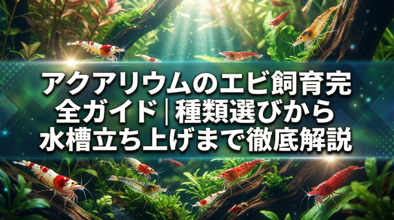 アクアリウムのエビ飼育完全ガイド|種類選びから水槽立ち上げまで徹底解説