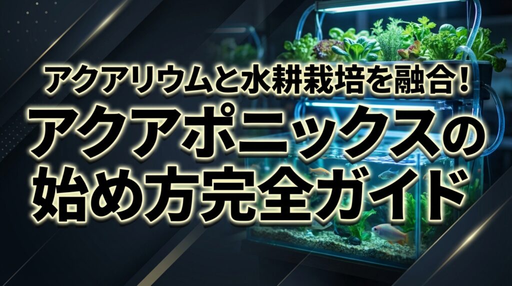 アクアリウムと水耕栽培を融合！アクアポニックスの始め方完全ガイド