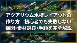 アクアリウム水槽レイアウトの作り方｜初心者でも失敗しない構図・素材選び・手順を完全解説