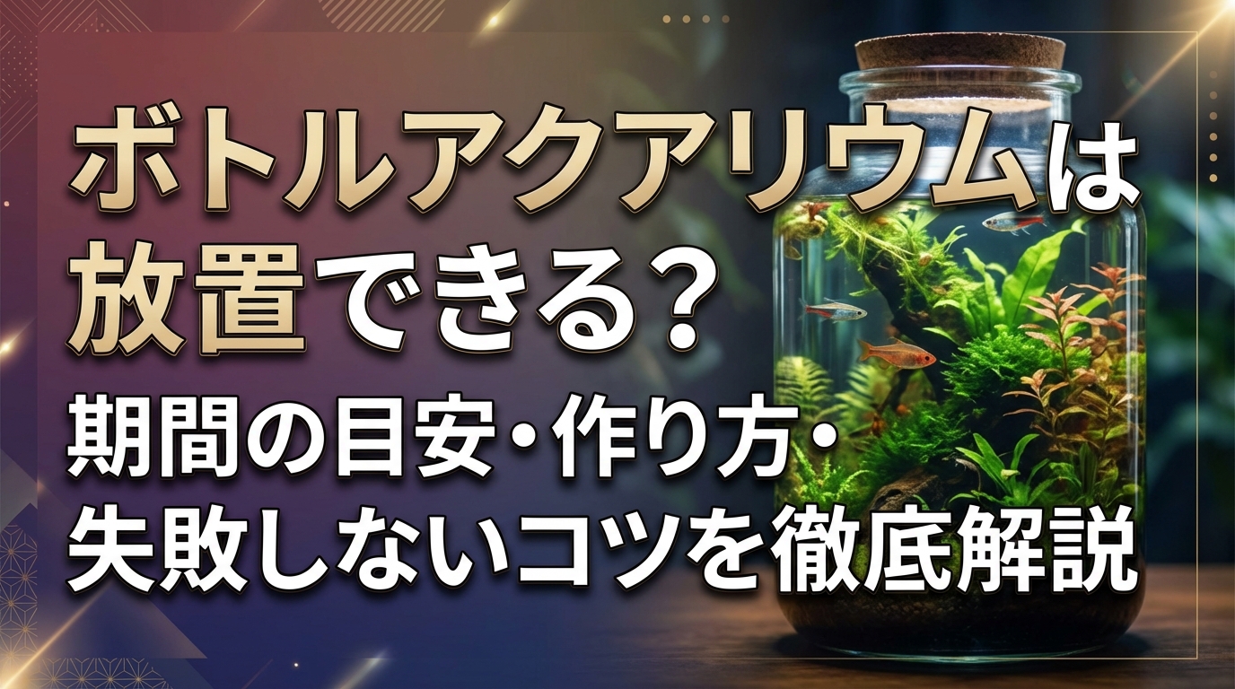 ボトルアクアリウムは放置できる?期間の目安・作り方・失敗しないコツを徹底解説