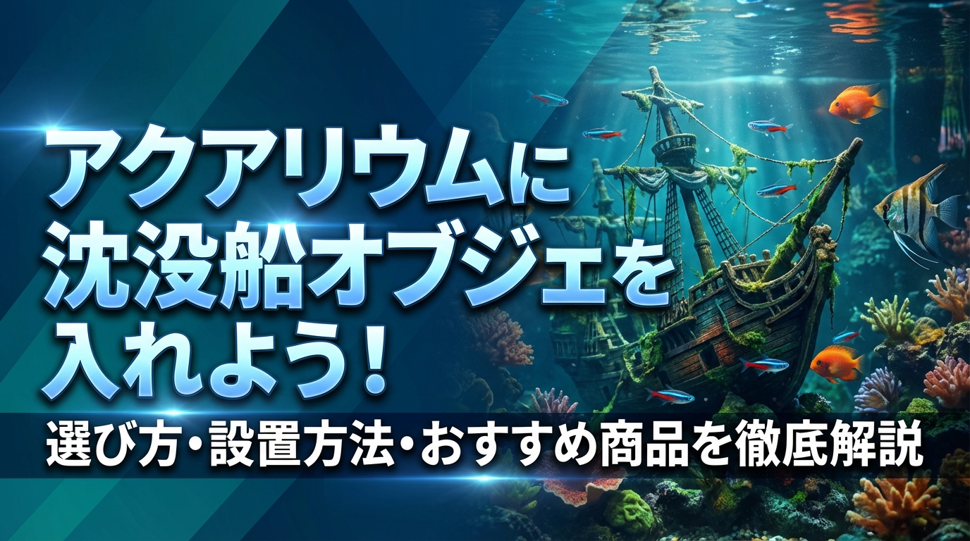 アクアリウムに沈没船オブジェを入れよう!選び方・設置方法・おすすめ商品を徹底解説