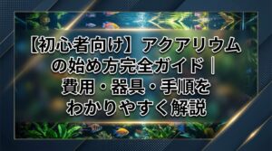 【初心者向け】アクアリウムの始め方完全ガイド｜費用・器具・手順をわかりやすく解説