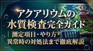 アクアリウムの水質検査完全ガイド｜測定項目・やり方・異常時の対処法まで徹底解説
