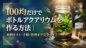 100均だけでボトルアクアリウムを作る方法｜材料リスト・手順・管理まで完全ガイド