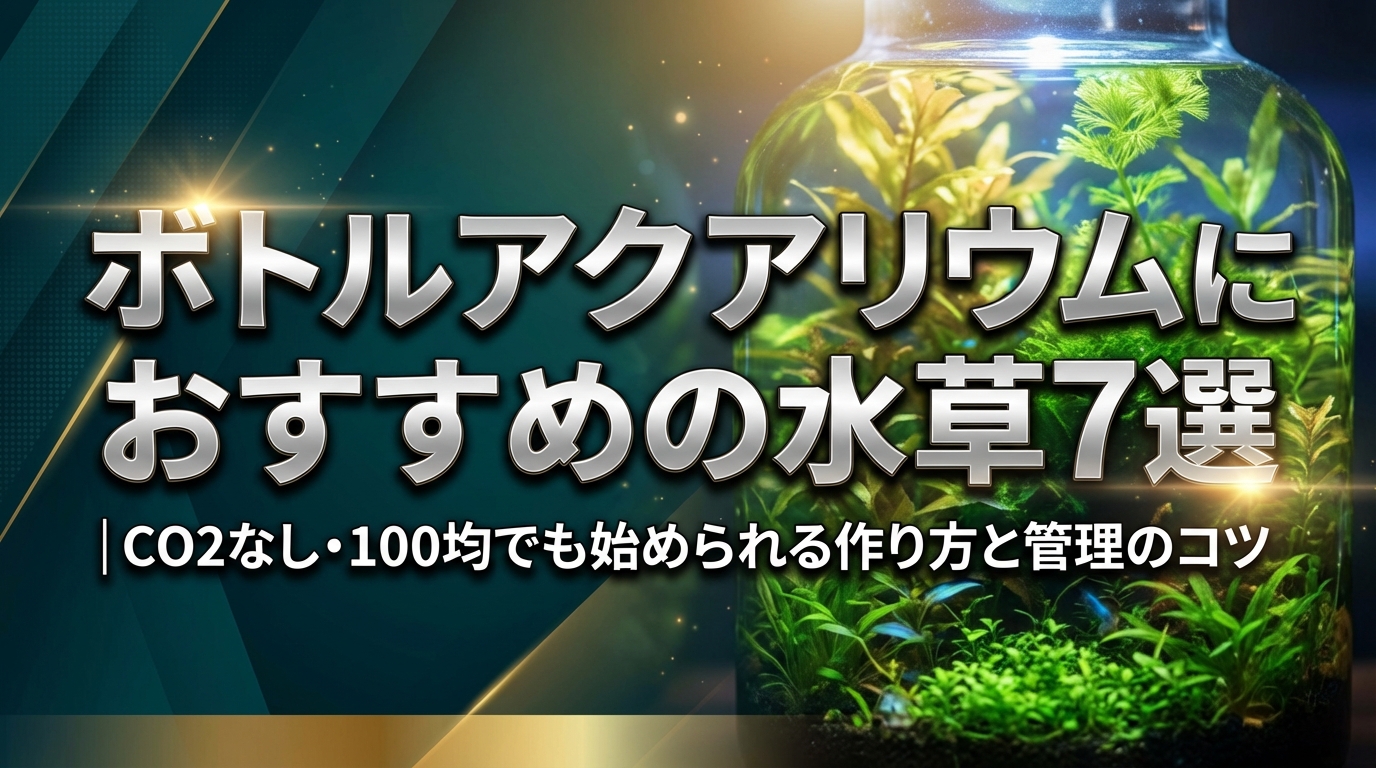 ボトルアクアリウムにおすすめの水草7選|CO2なし・100均でも始められる作り方と管理のコツ
