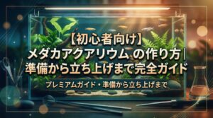 【初心者向け】メダカアクアリウムの作り方｜準備から立ち上げまで完全ガイド
