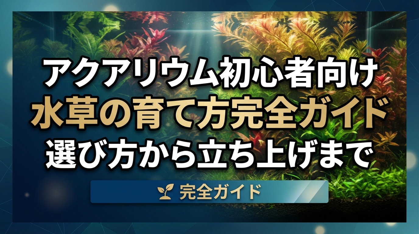 アクアリウム初心者向け水草の育て方完全ガイド|選び方から立ち上げまで