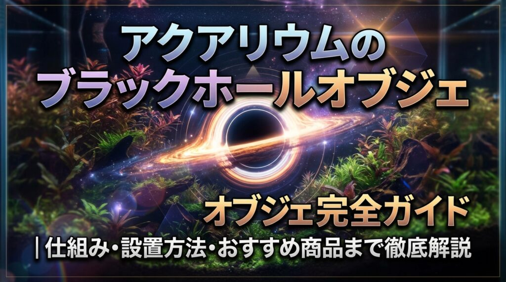 アクアリウムのブラックホールオブジェ完全ガイド｜仕組み・設置方法・おすすめ商品まで徹底解説