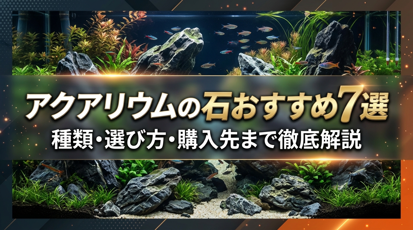 アクアリウムの石おすすめ7選|種類・選び方・購入先まで徹底解説