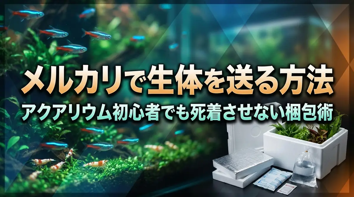 メルカリで生体を送る方法|アクアリウム初心者でも死着させない梱包術
