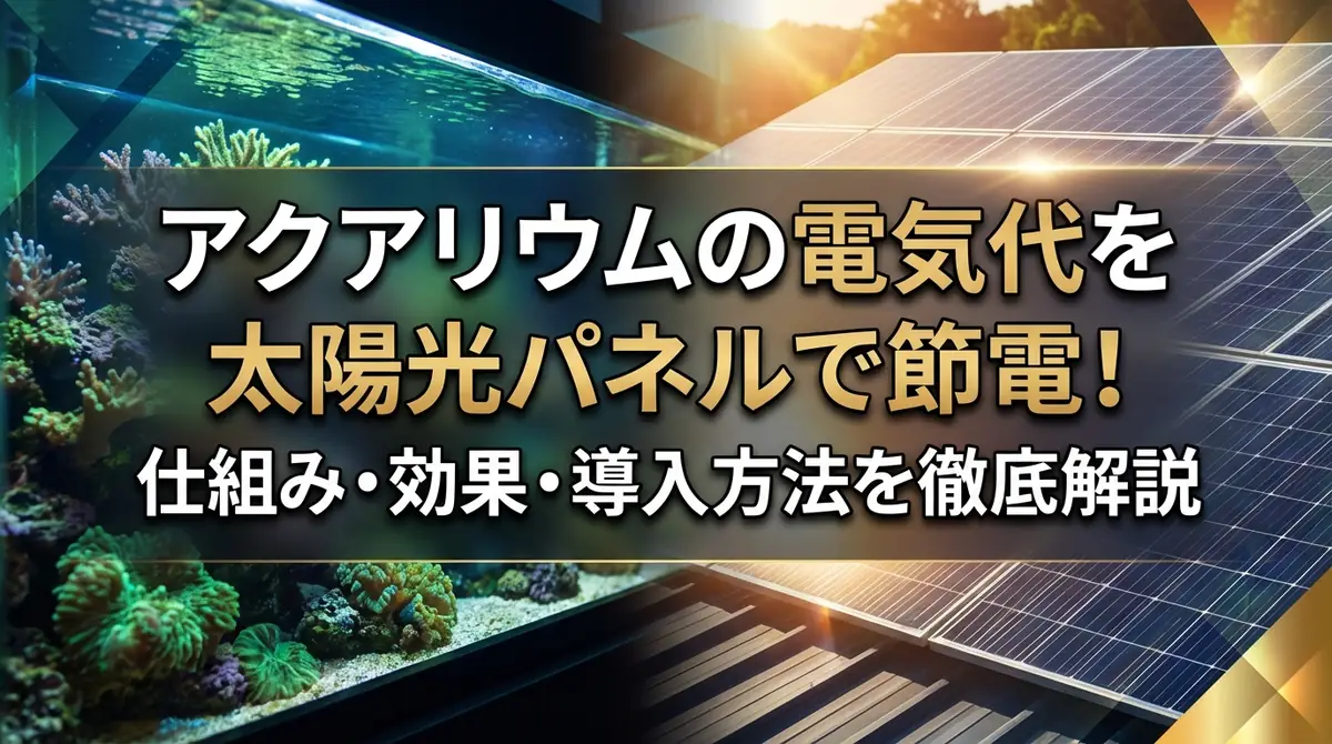 アクアリウムの電気代を太陽光パネルで節電!仕組み・効果・導入方法を徹底解説