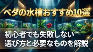 ベタの水槽おすすめ10選｜初心者でも失敗しない選び方と必要なものを解説