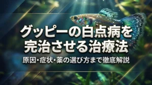 グッピーの白点病を完治させる治療法｜原因・症状・薬の選び方まで徹底解説