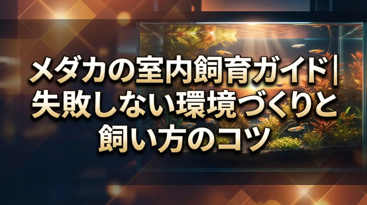 メダカの室内飼育ガイド｜失敗しない環境づくりと飼い方のコツ