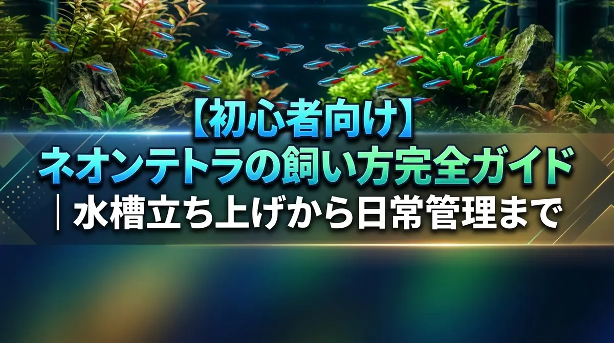 【初心者向け】ネオンテトラの飼い方完全ガイド|水槽立ち上げから日常管理まで
