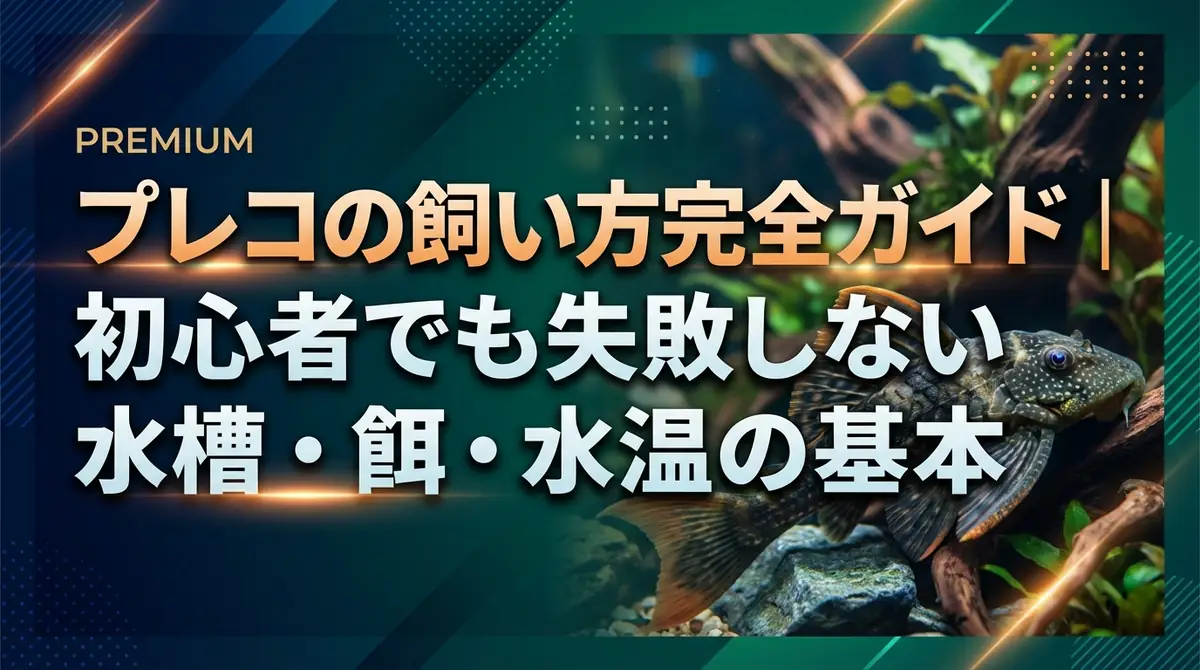 プレコの飼い方完全ガイド｜初心者でも失敗しない水槽・餌・水温の基本