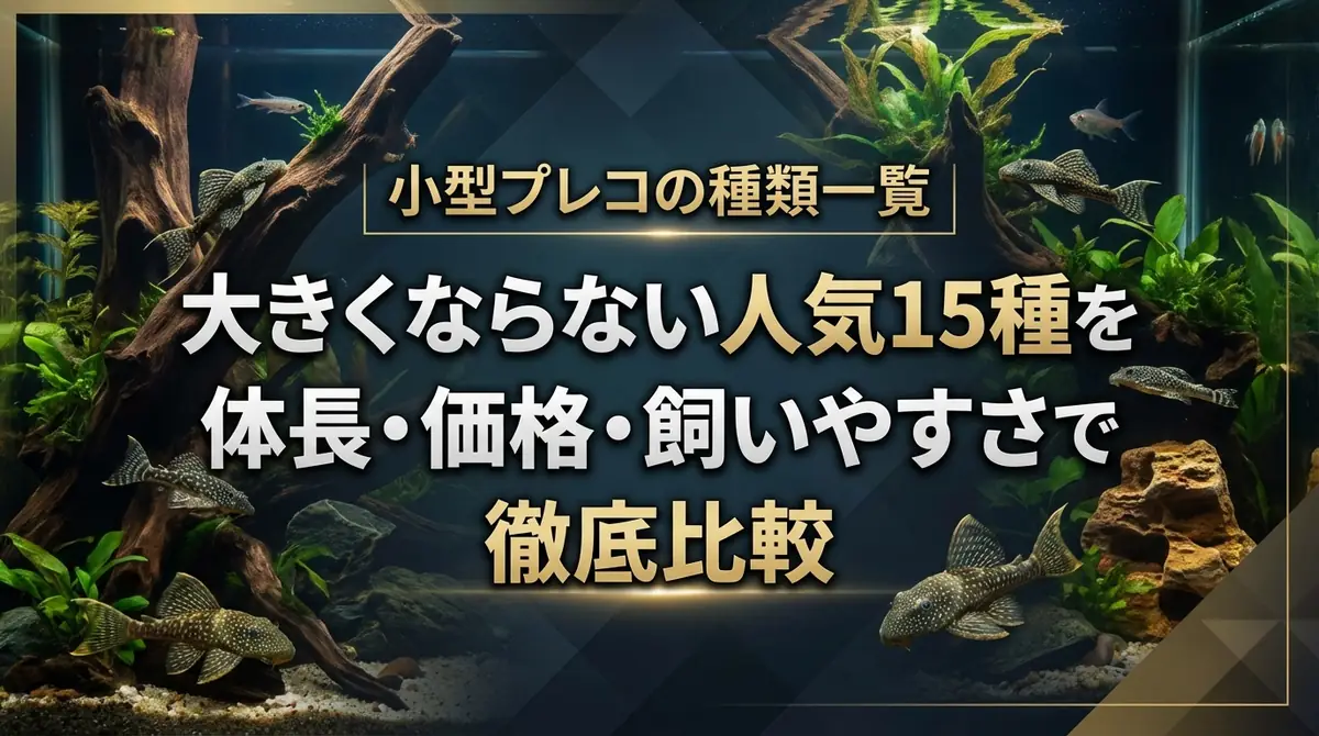 小型プレコの種類一覧｜大きくならない人気15種を体長・価格・飼いやすさで徹底比較