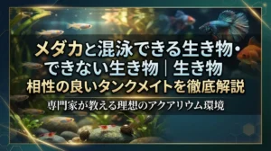 メダカと混泳できる生き物・できない生き物｜相性の良いタンクメイトを徹底解説