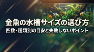 金魚の水槽サイズの選び方｜匹数・種類別の目安と失敗しないポイント