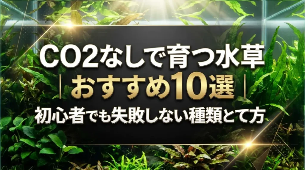 CO2なしで育つ水草おすすめ10選｜初心者でも失敗しない種類と育て方