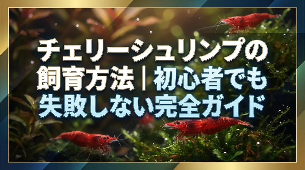 チェリーシュリンプの飼育方法｜初心者でも失敗しない完全ガイド