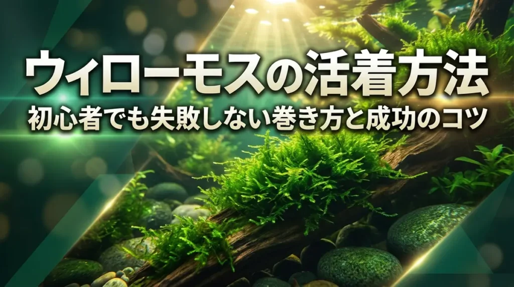 ウィローモスの活着方法｜初心者でも失敗しない巻き方と成功のコツ