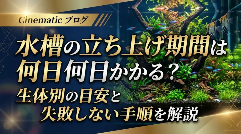 水槽の立ち上げ期間は何日かかる？生体別の目安と失敗しない手順を解説