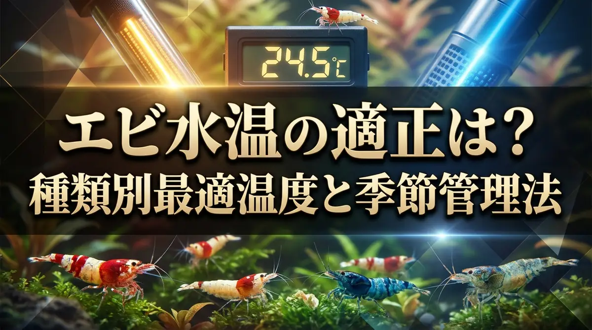 エビ水温の適正は？種類別最適温度と季節管理法